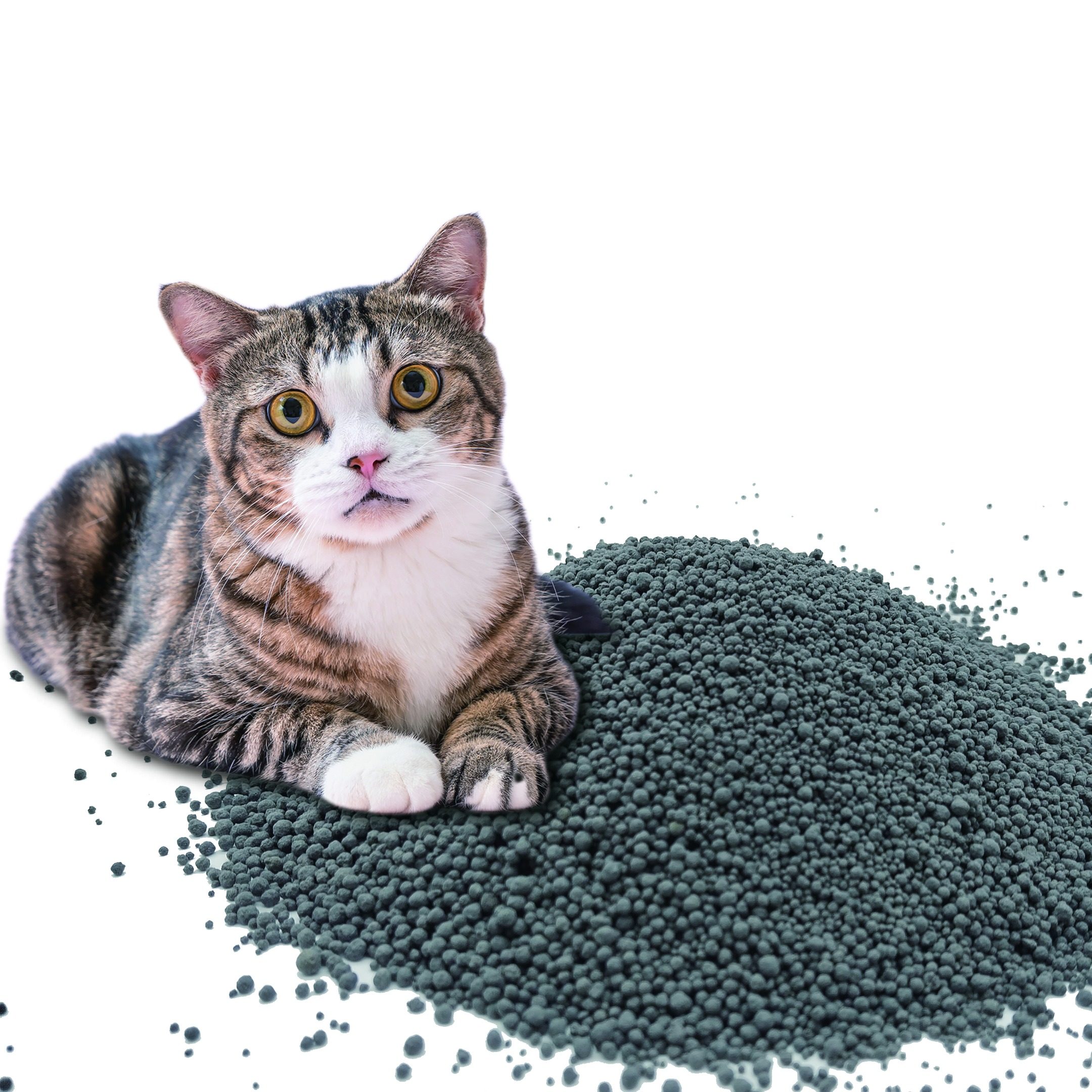 bentonite cat litter
